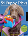 The Dog Tricks and Training Workbook by Kyra Sundance and Chalcy